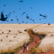 林肯毁了我的庄园梦