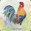 manok ni bembi./.