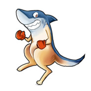 Sharkkangaroo