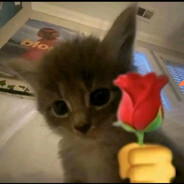 tapGrass skins.army - steam id 76561199020664808