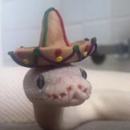 Esteban (in mehico) 🪇🌮