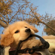 不要刻意讨好别人