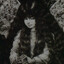 Nettle