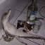 Crocodrunk