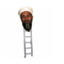 Osama bin Ladder