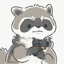 AmRaccoon