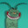 Plankton