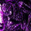 Guts