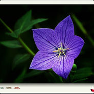 我还可以抢救一下