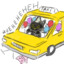 taxi cat's avatar