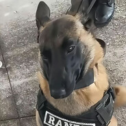 大狗嚼俱乐部Blue斯