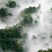 可可爱爱，打打杀杀