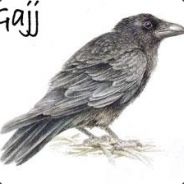 seymour - steam id 76561197971100833