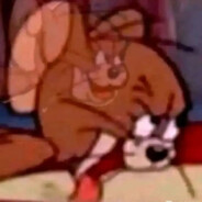 福建超级大老鼠