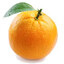 GangPlank