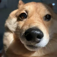 王俊凯带的第一突破手