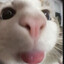 Avatar of player eqrwqeqwreqrqweqrqeqrqewqrewqr