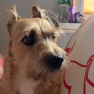 Ko2i3jska07 skins.army