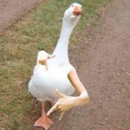 Gerfunkal