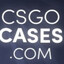 itsdjura cs2cases.pro