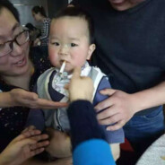 不会做饭的恐龙