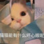 91直播平台--探花沈先生