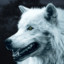 WHITE_WOLF