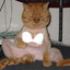 Garfield avatar