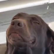 打休闲还要装逼真丢人