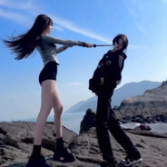 当海鸥不再眷恋大海