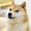 SnoopDoge