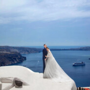 菠萝耶夫蛋挞科维奇