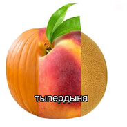 Пердыня
