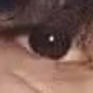 ；【】‘/。/，