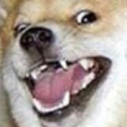 HighDog