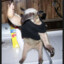 Arfur