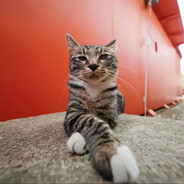 我要做拼豆大王！