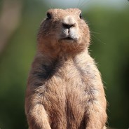 Na