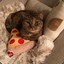 Chico Pizza