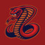 CobraZ1