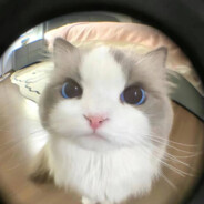 온라인진공청소기