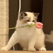 f u n n y