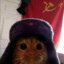 Kozie22
