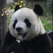 无肉不欢的兔子