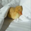 theduck.