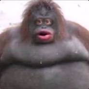 realmonke