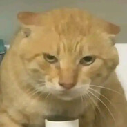 天若赐的脊背开，哈的山河万气来！