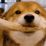 下海挂牌五万起