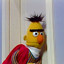 Bert o muppet