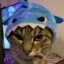 puppymeow
